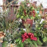 Pahls Decorative Spruce Tip Pots