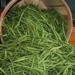 Home grown beans Home grown beans