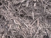 Coco-Brown-Mulch-200x