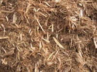 Western-Red-Cedar-Mulch-200