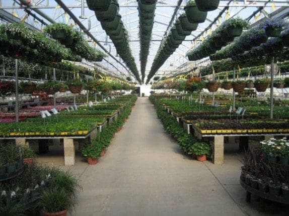 garden-center Center Aisle Main Greenhouse