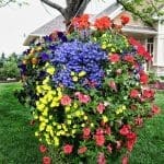 Pahls Moss Basket Pahls Moss Basket