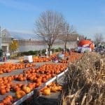 Fall at Pahl's Fall at Pahl's