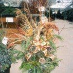 Spruce Tip Pot