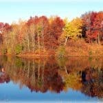 Pahl's Photo Contest Winner - October 2013 - Autumn Blaze by Janet Wachter