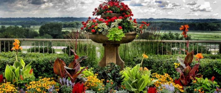 Beth and Rod take first place in a garden photo contest landscaping-apple-valley-mn