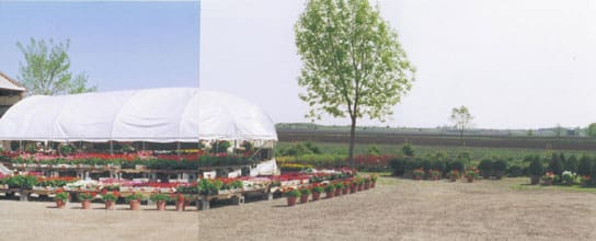 Pahl's First Greenhouse in Apple Valley , Minnesota 1984ish
