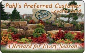 Customer Loyalty Program