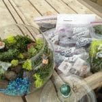 Pahl's Terrarium Kits