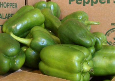 Green Bell Peppers