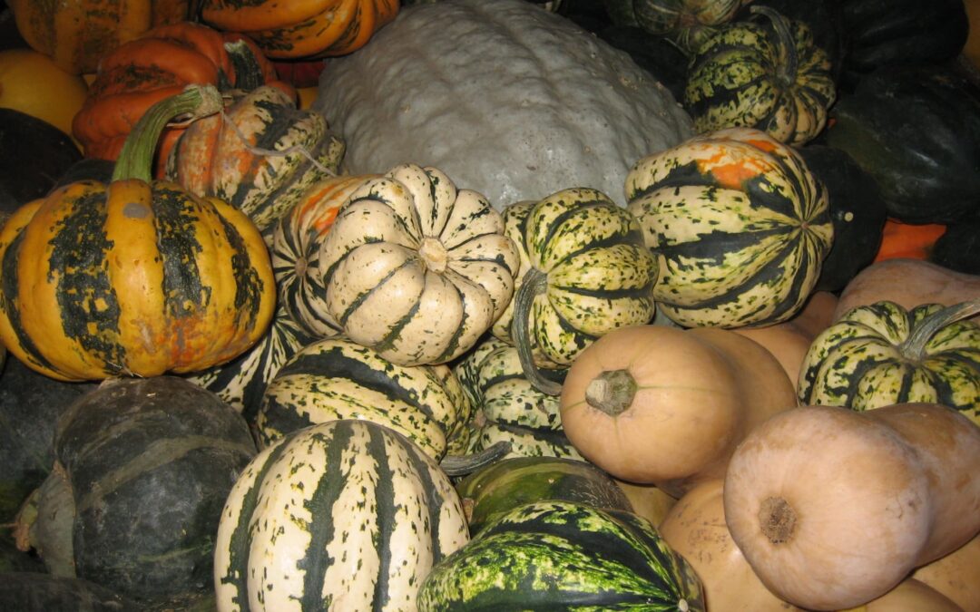 Harvest Days