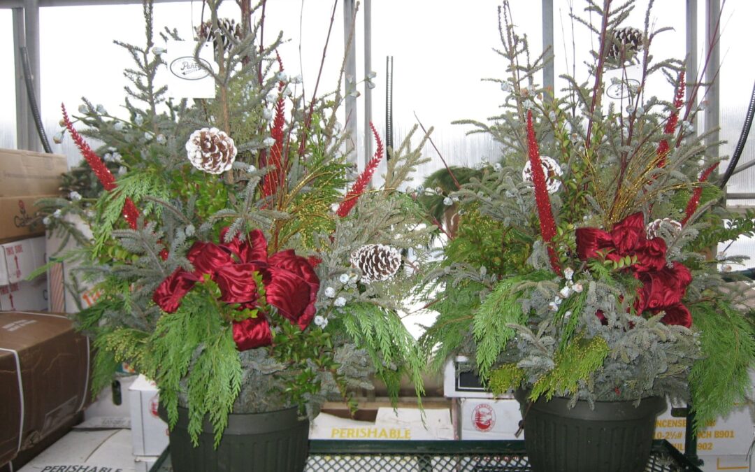 Spruce Up Your Holidays