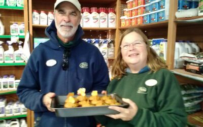 Delicious Fall Recipes