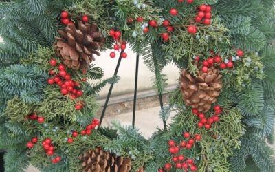 December in the Greenhouse