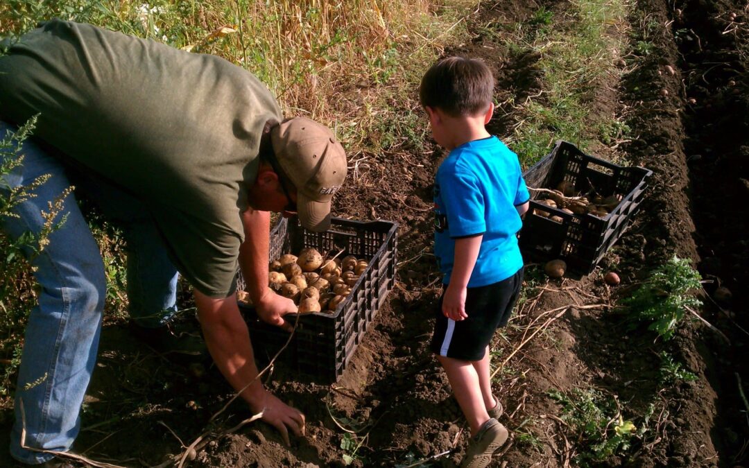 News from the Farmer