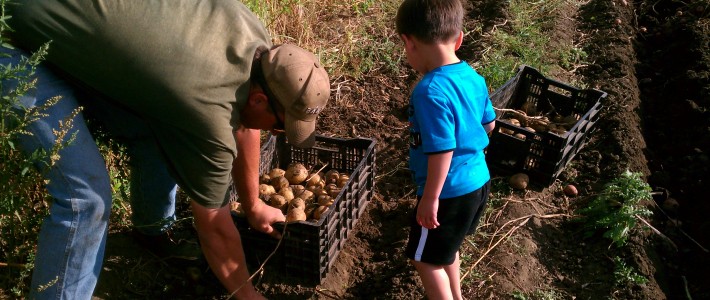 News from the Farmer Cole & Colten