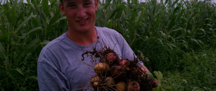 News from the Farmer Farmer Cole