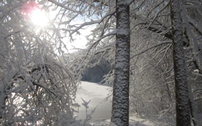 One Snowflake at a Time