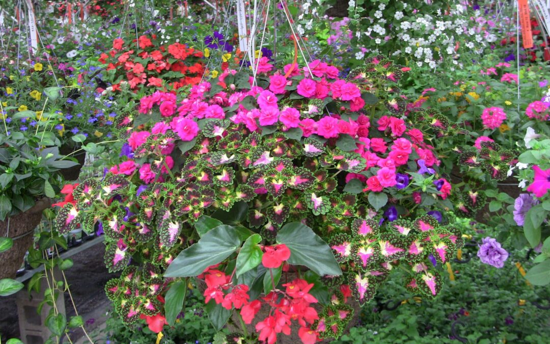 Mark Your Calendar for a Touch of Spring!
