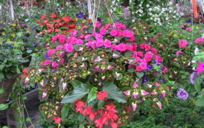 Mark Your Calendar for a Touch of Spring!