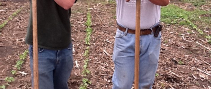 News from the Farmer Jack and Cole