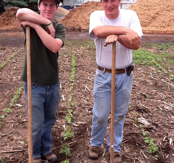 News from the Farmer