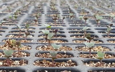 March News from the Field