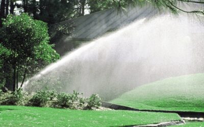 Spring Lawn Care