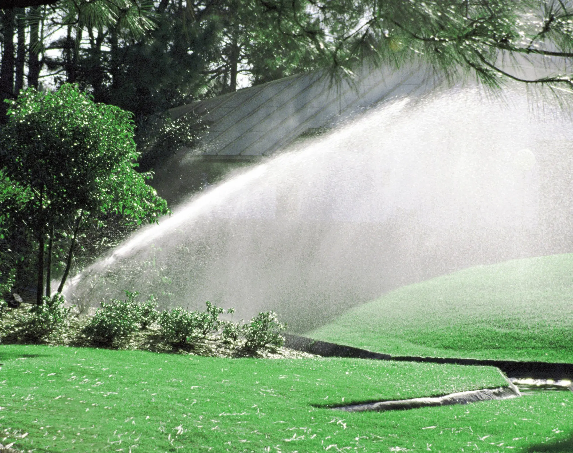 Spring Lawn Care