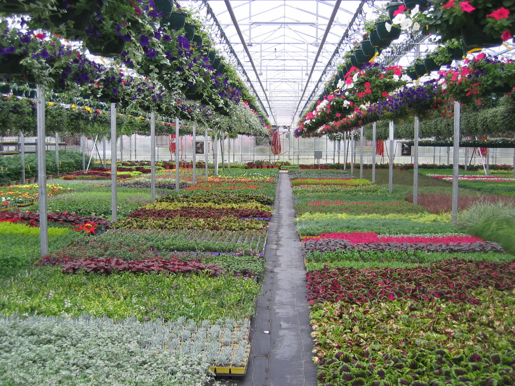 Pahl's Market Greenhouse