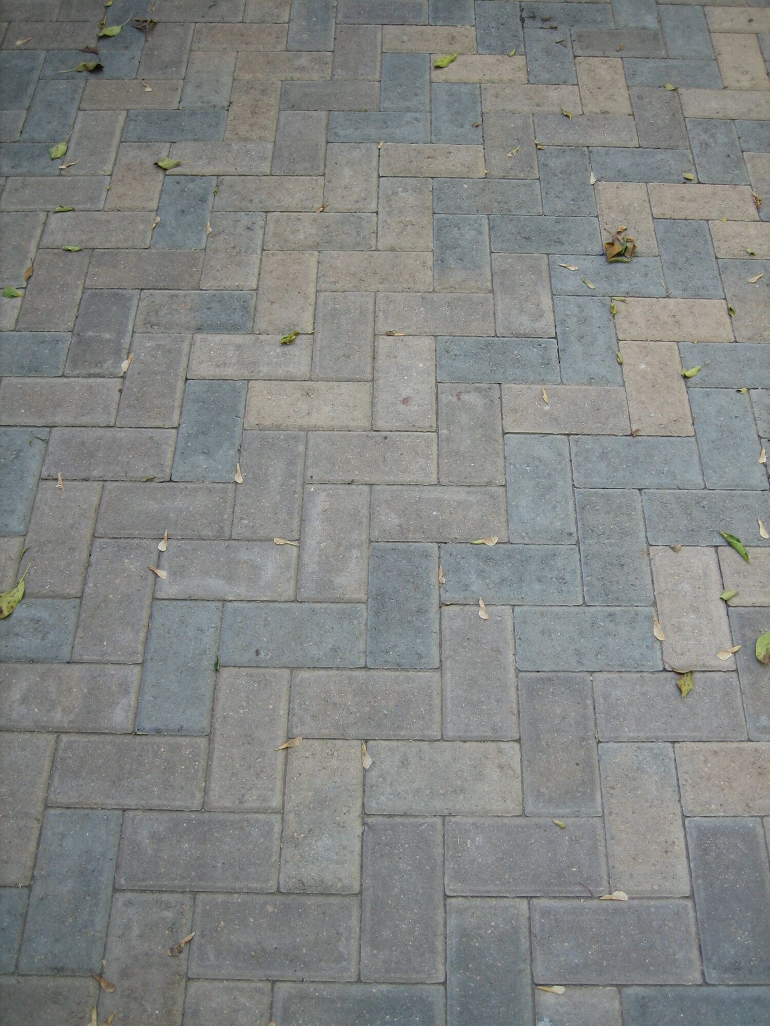 Borgert Holland Paver