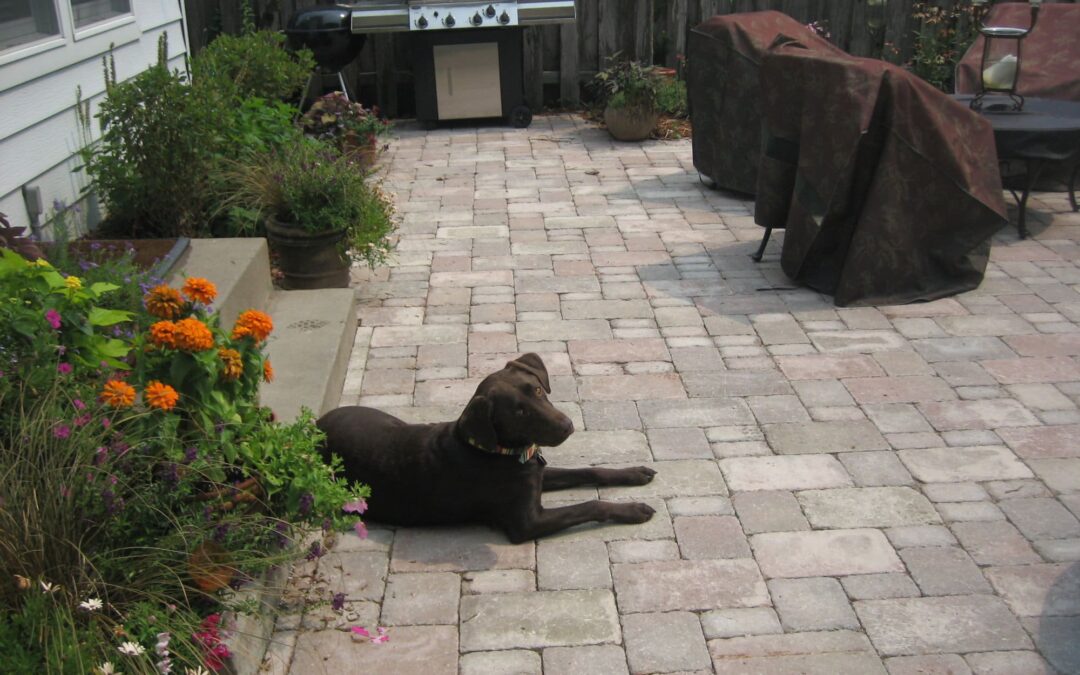 Borgert Strassen Paver Patio Installed St. Paul