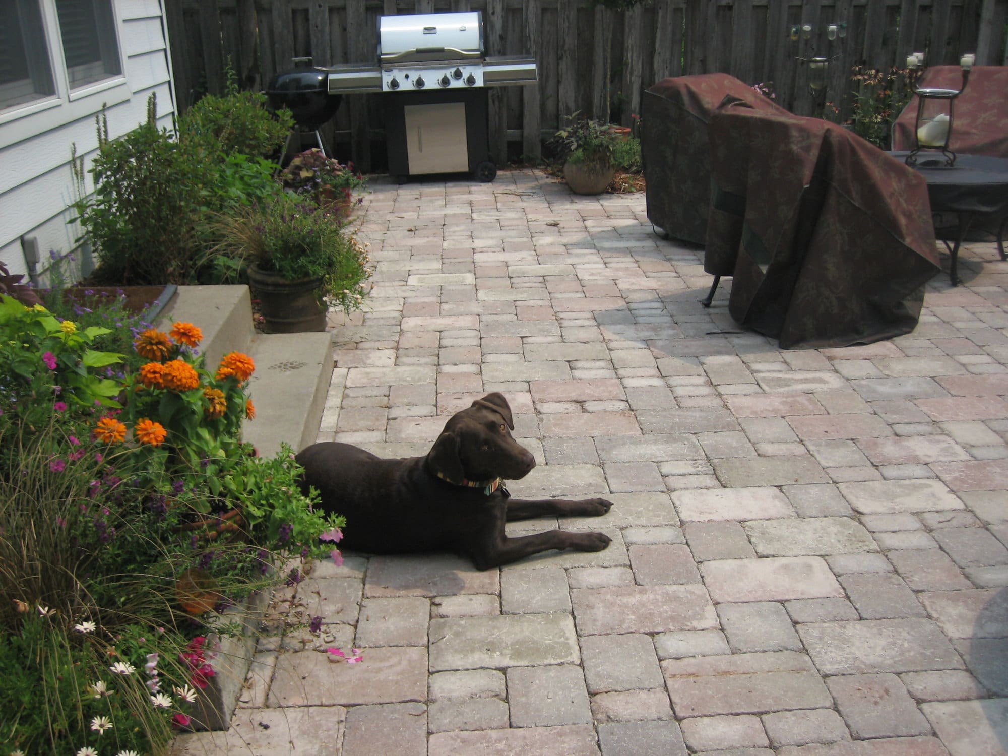 Borgert Strassen Paver Patio Installed St. Paul