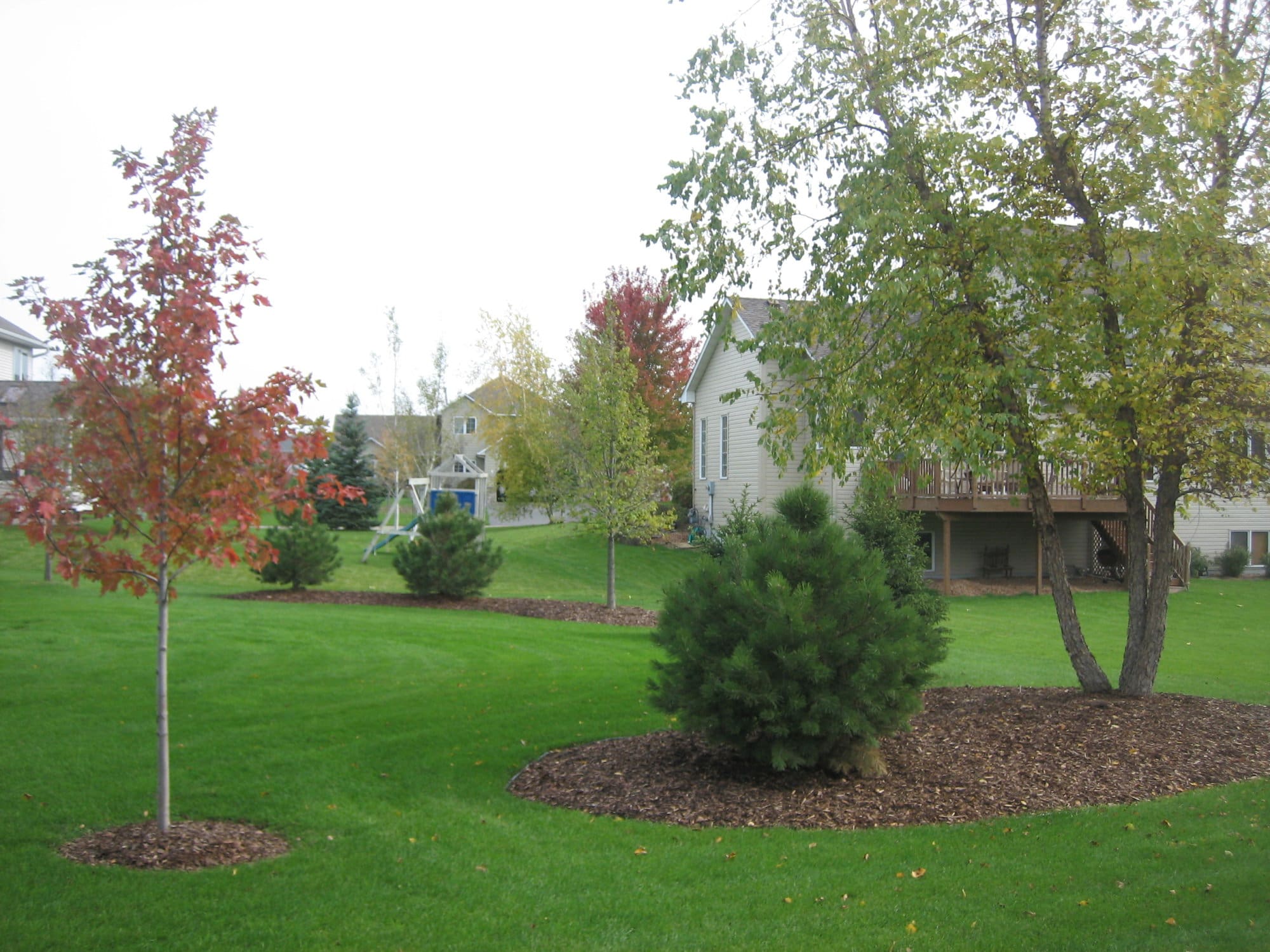 Back Yard Landscape Berms and Tree Rings in Apple Valley