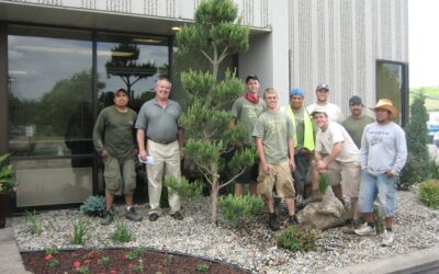 Commercial Landscape Design & Installation in Burnsville