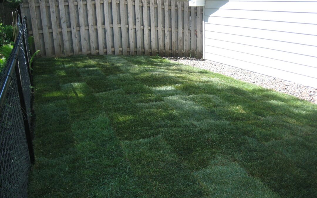 Highland Sod installed by Pahl’s Landscape Crew