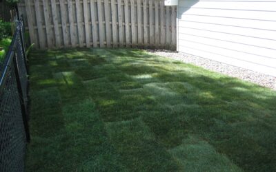 Highland Sod installed by Pahl’s Landscape Crew