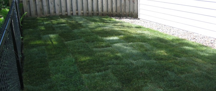 Sod Archives Pahl S Market Sod Archives Pahl S Market, Jirik Sod Farms