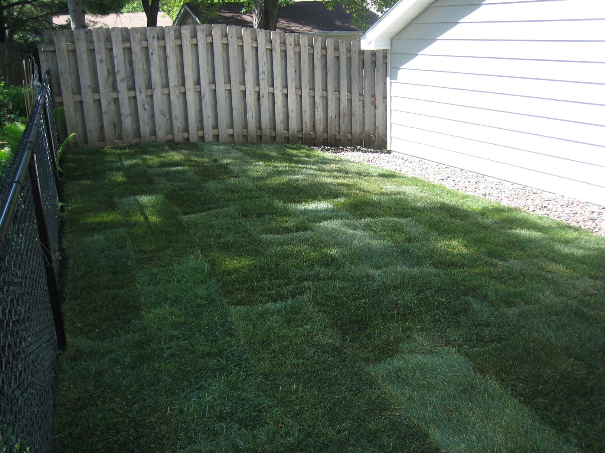 Highland Sod installed by Pahl’s Landscape Crew