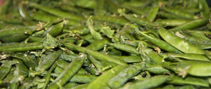 Peas Peas