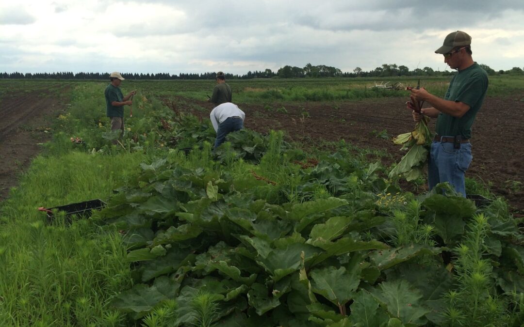 July News From the Farm