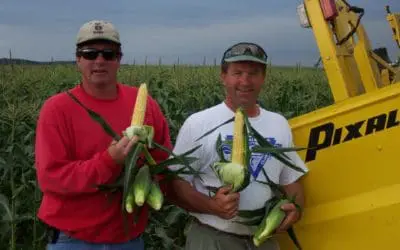 Pahl’s Annual Kernel Daze 2025