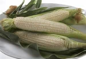 White Sweet Corn