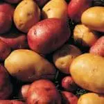 Potatoes