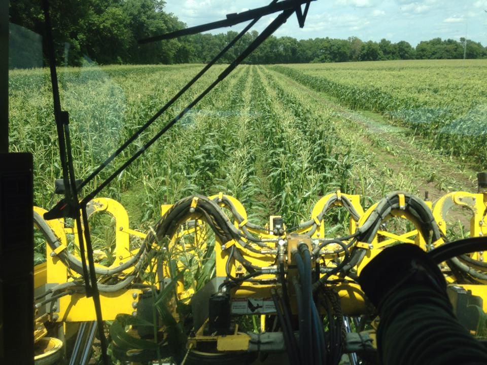 Harvest Season