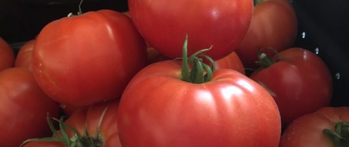Tomatoes IMG_3107