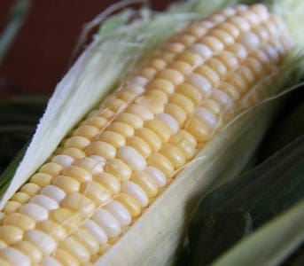 Sweet Corn Recipe Ideas