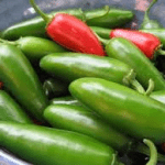 Jalapeno Peppers