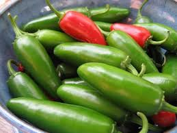 Jalapeno Peppers