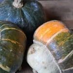 Buttercup Squash